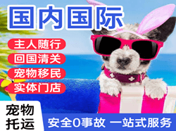 丹霞航空快递国际宠物托运 【国